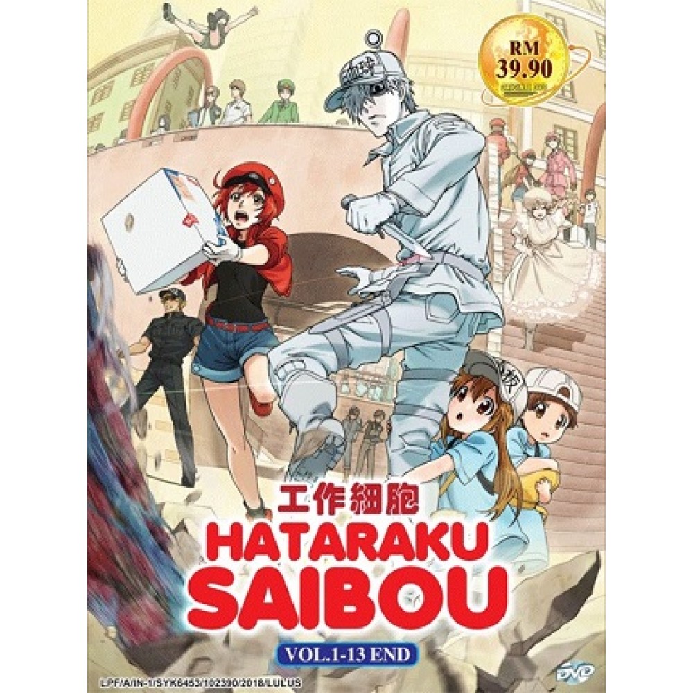 Wallpaper Hataraku Saibou V1 13end Dvd For Android Free