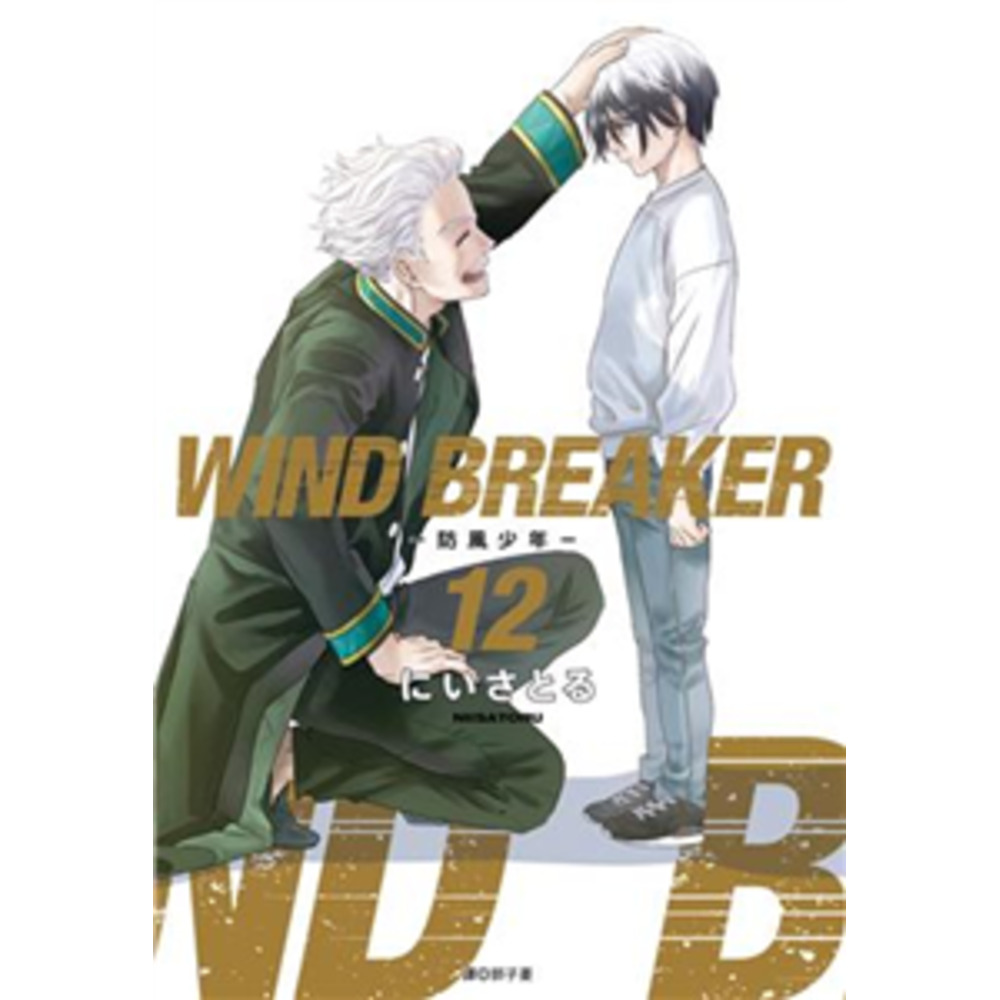 WIND BREAKER—防風少年—15