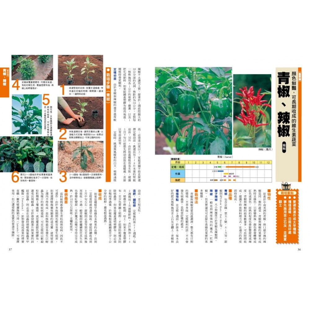 新手種菜100招 自己種出70種家常菜