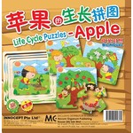 苹果的生长拼图