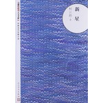朝内166人文文库·中国当代长篇小说：新星 