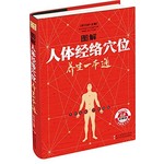 图解人体经络穴位养生
