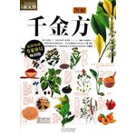 图解千金方