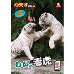 小天才24-白色的老虎