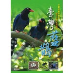 臺灣藍鵲