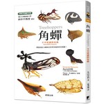 角蟬：不可思議的昆蟲 