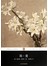 简.爱