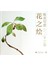 唯美写意花之绘，冬之卷