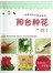 阳台种花