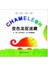变色龙捉迷藏