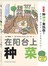 在阳台上种菜