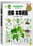 （畅销版）图解本草纲目