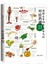 图解本草纲目皇帝内经对症药膳速查全书