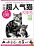 中国超人气猫大排名