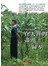 在天涯的盡頭，歸零（A Story of Unlearning）