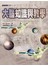 大腦知識與教學
