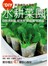 水耕菜園懶人DIY