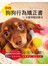 DVD狗狗行為矯正書，10分鐘項圈訓練法