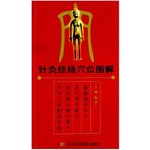 针灸经络穴位图解