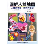 圖解人體地圖