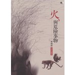 火，與危險事物：黃錦樹馬共小說選