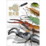 甲蟲放大鏡