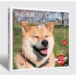 呆萌無敵！柴犬MARU：汪汪散步去（附DVD）