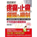 疼痛・止痛的種類&機制