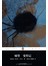 企鹅经典丛书：城堡 变形记 
