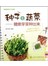 种子变蔬菜-健康芽菜种出来