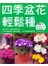 四季盆花輕鬆種