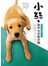 小絲，命中注定的小狗-介助犬改變我一生