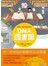圖解人體的基因密碼  DNA圖書館