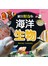 海洋生物