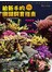 給新手的珊瑚飼育指南